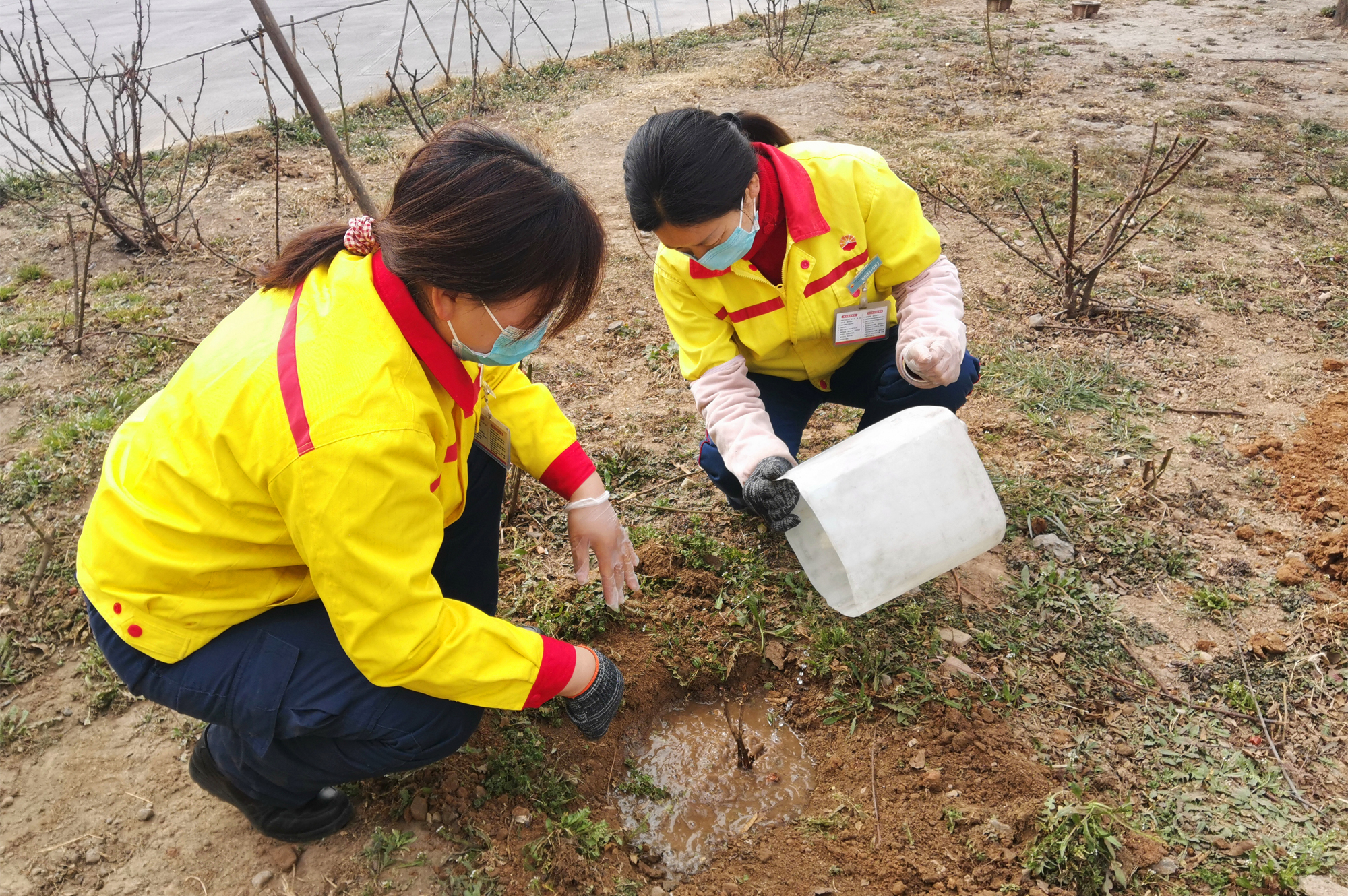 植樹節.jpg